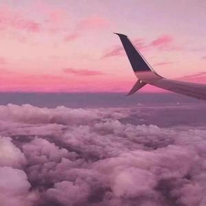 手机看片在线观看
