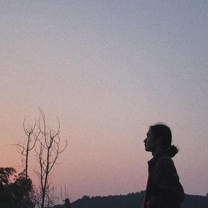 手机看片在线观看
