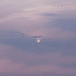 手机看片在线观看
